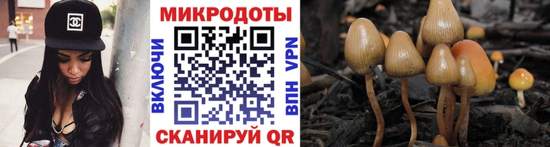 МЕГА как войти Кемерово Псилоцибиновые грибы Psilocybe